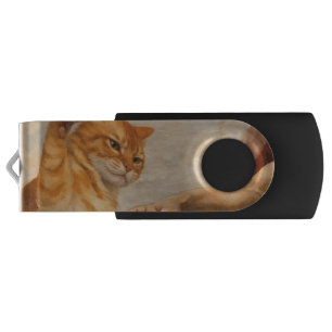 Funny Cat Meme Art Creation of Adam with Cat Sarca Flash Drive