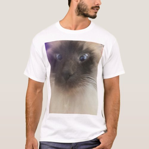 Funny cat meme face T_Shirt