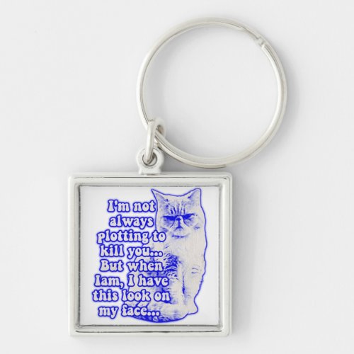 Funny cat meme for cat owners and kitty lovers keychain
