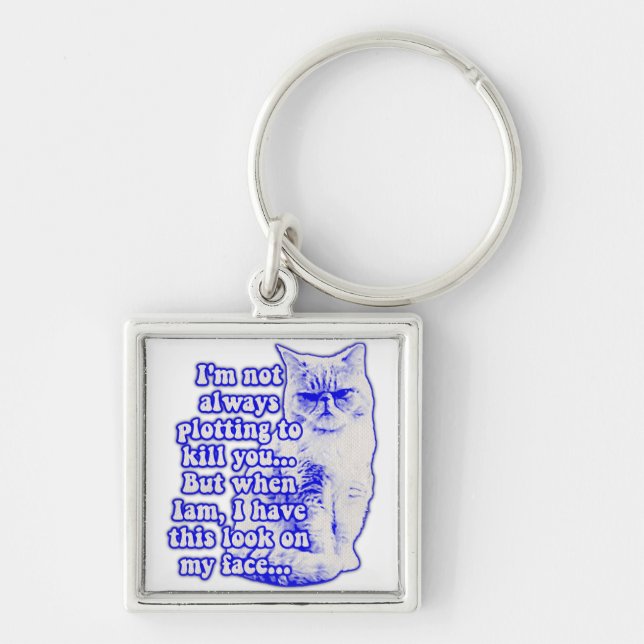Funny cat meme for cat owners and kitty lovers keychain (Front)