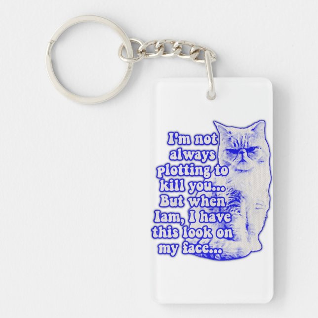 Funny cat meme for cat owners and kitty lovers keychain (Front)