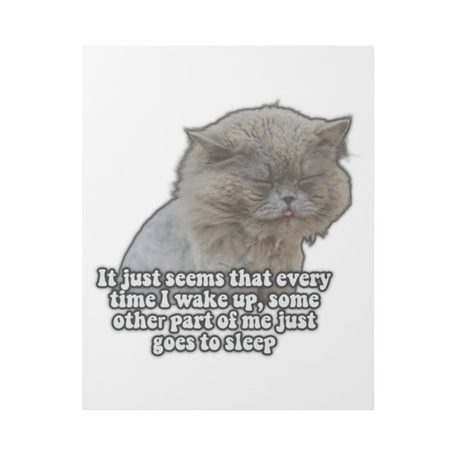 Funny cat meme for kitty lovers and cat owners gallery wrap (Front)