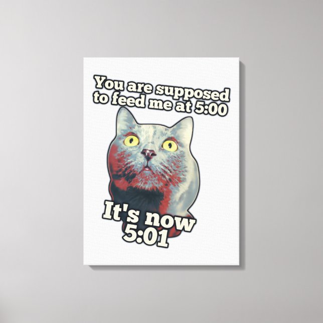 Funny cat meme for kitty persons and cat lovers canvas print (Front)