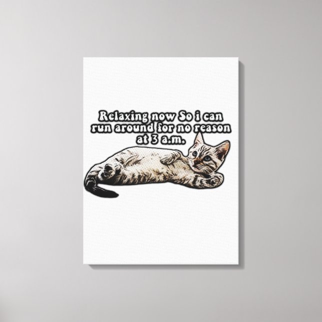 Funny cat meme for kitty persons and cat owners canvas print (Front)