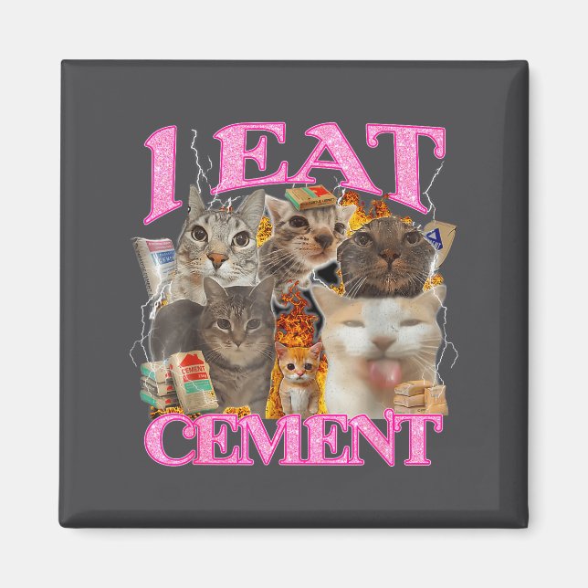 Funny Cat Meme I Eat Cement Japanese Quote Animal  Magnet (Front)