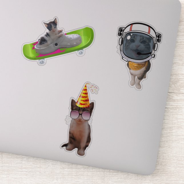 Funny Cat Memes Sticker (Detail)