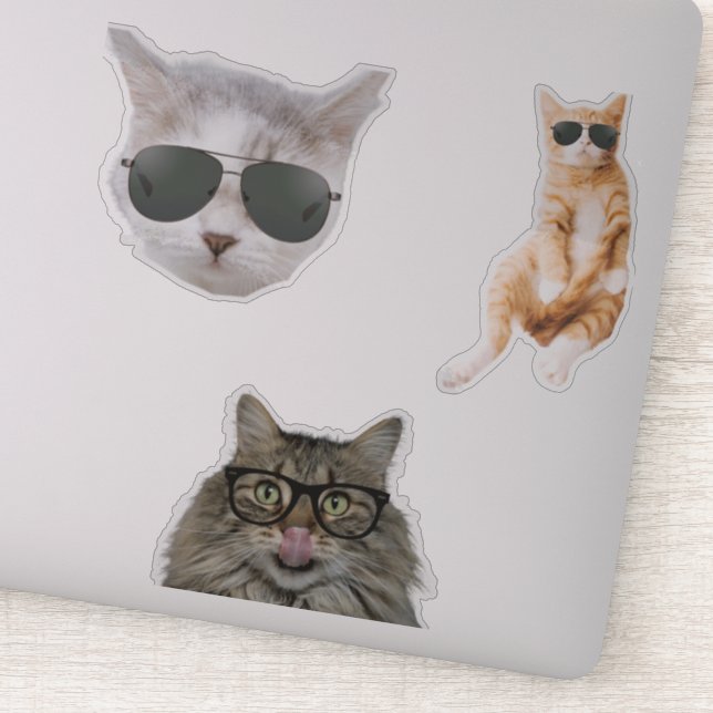 Funny Cat Memes Sticker (Detail)