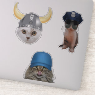 Funny Cat Memes Sticker