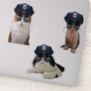 Funny Cat Memes Sticker