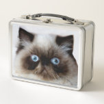 Funny Cat Metal Lunch Box at Zazzle