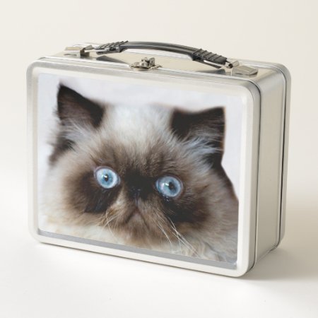 Funny Cat Metal Lunch Box