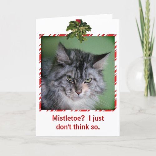 Funny Cat Mistletoe Christmas greeting card