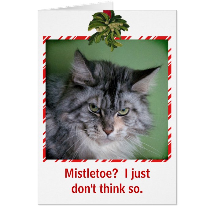 mistletoe the christmas cat plush
