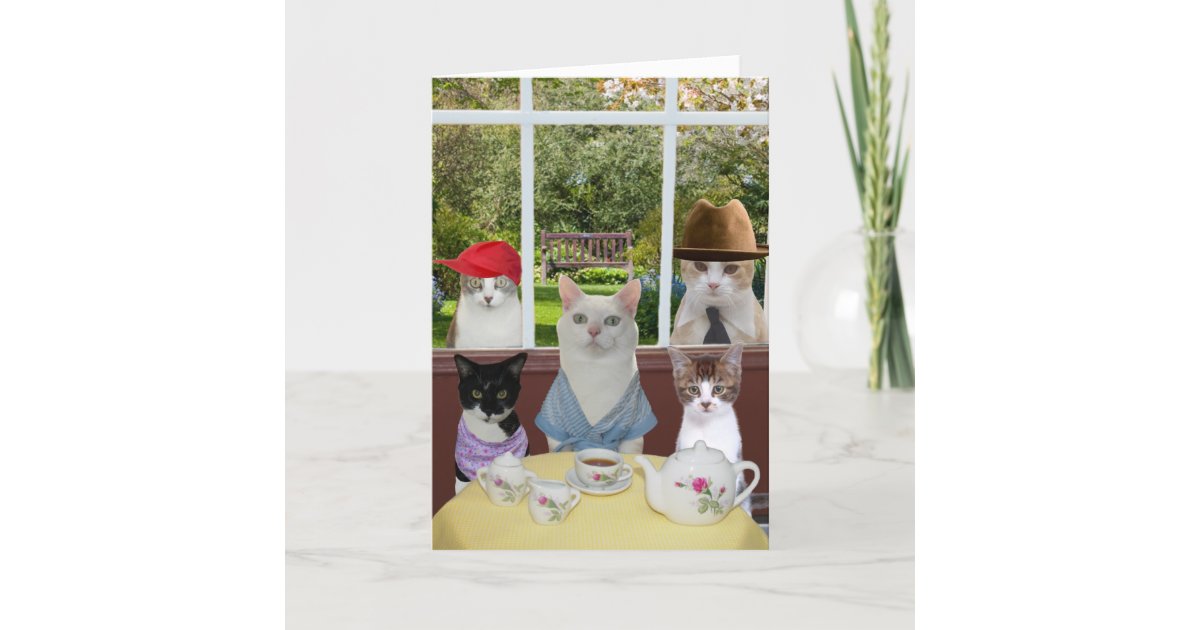 Funny Cat Mother's Day or Birthday Card | Zazzle