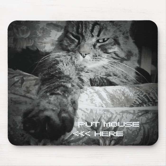 Funny cat mouse pad