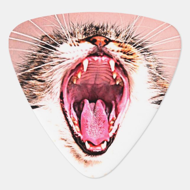 Funny Cat Mouth and Whiskers Pink Customizable Guitar Pick (Front)