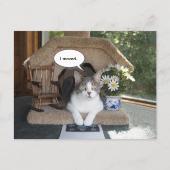 Funny Cat Moved New Address Announcement Postcard by myrtieshuman at Zazzle