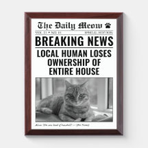 Funny Cat Newspaper Breaking News Photo