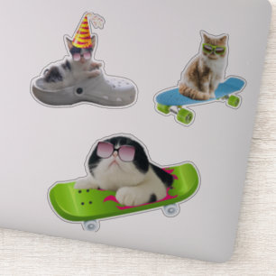 Funny Cat On Skateboard Sticker
