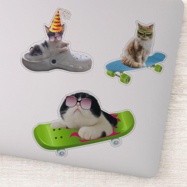 Funny Cat On Skateboard Sticker (Detail)
