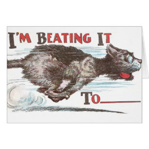 Funny Cat on the Run