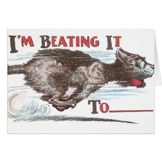 Funny Cat on the Run Cards (Front Horizontal)