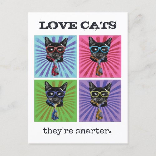 Funny Cat  Pet Postcard