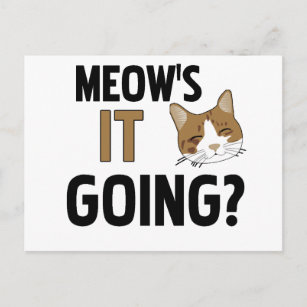 Funny Cat / Pet Postcard