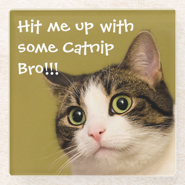 Funny Cat Photo Catnip Caption Glass Coaster (Front)