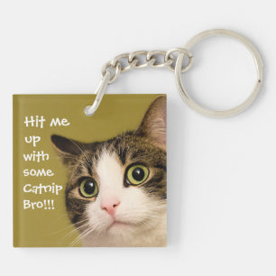 Funny Cat Photo Catnip Caption Keychain