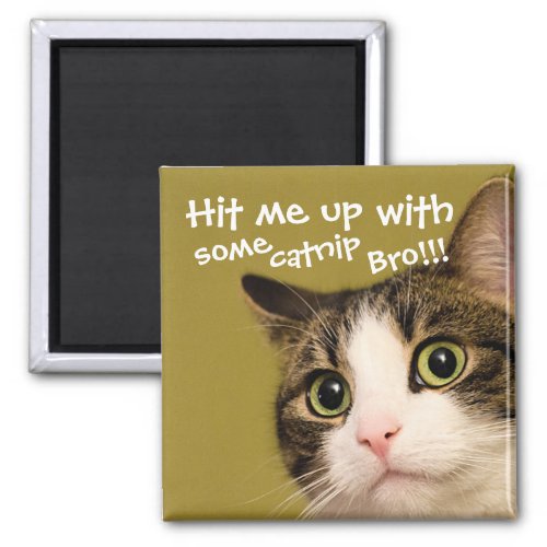 Funny Cat Photo Catnip Caption Magnet