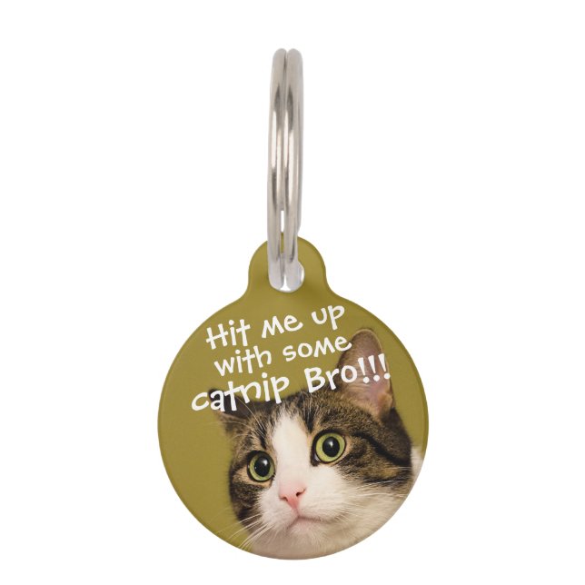Funny Cat Photo Catnip Caption Pet ID Tag (Front)