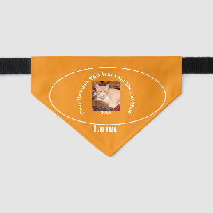 Funny Cat Photo Humor Pet Bandana Collar