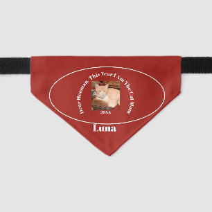 Funny Cat Photo Humor Red Pet Bandana Collar