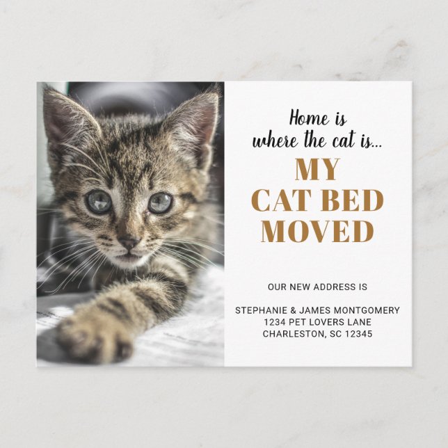 Funny Cat Photo Personalized Pet Moving Announcement Postcard (Front)