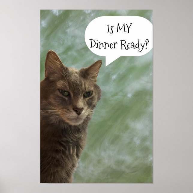 Funny Cat Photo Poster (Front)