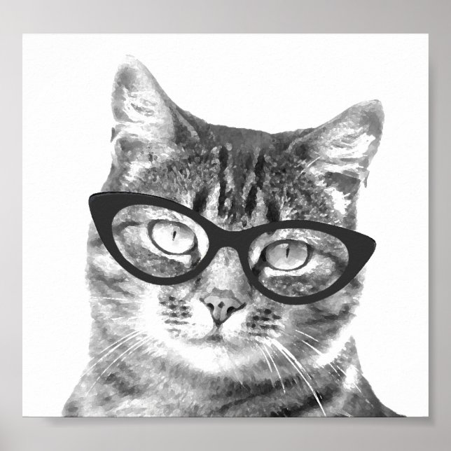 Funny cat photo posters (Front)