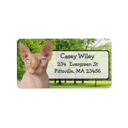 Funny Cat Photo Return Address Label