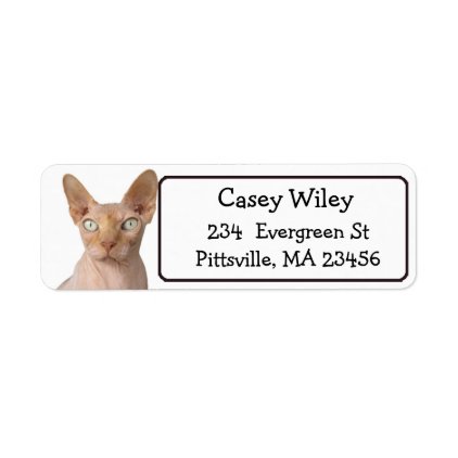 Funny Cat Photo Return Address Label