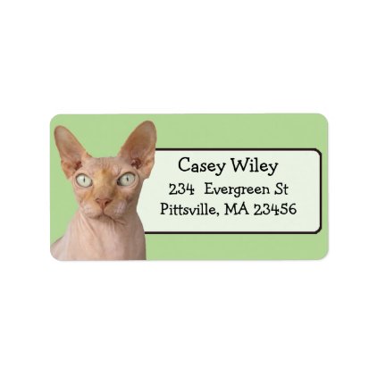 Funny Cat Photo Return Address Label