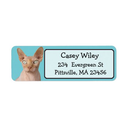 Funny Cat Photo Return Address Label