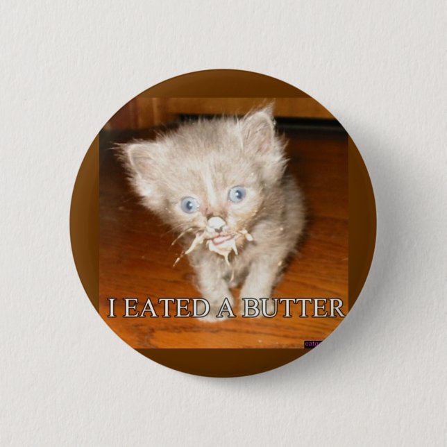Funny cat pin (Front)