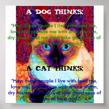 Funny Cat Poster by dblhappiness1 at Zazzle