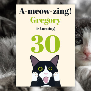 Funny cat pun 30th birthday party invitation