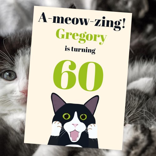 Funny cat pun 60th birthday party invitation