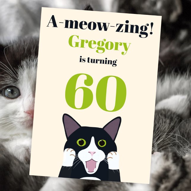 Funny cat pun 60th birthday party invitation (Creator Uploaded)