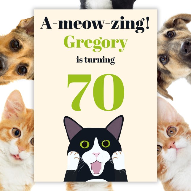 Funny cat pun 70th birthday party invitation (Creator Uploaded)
