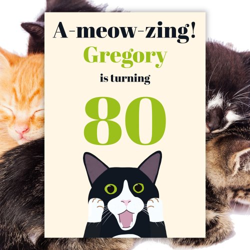 Funny cat pun 80th birthday party invitation
