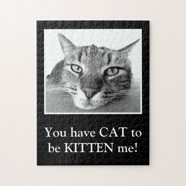 funny cat puzzles