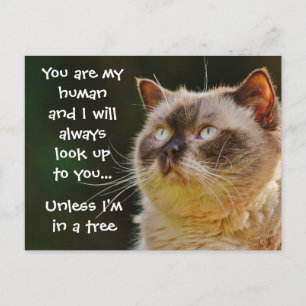Funny Cat Quote Look Up To You Postcard